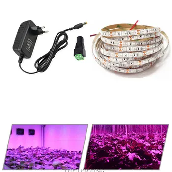 LED vækst Lys DC12V Voksende LED Strip plantevækst Lys Sæt med Adapteren, og Tænd led vækst lys
