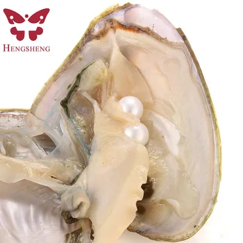 Høj AAA-30stk tvillinger naturlige perler østers, Individuel pakke 7-8mm ferskvand, runde Akoya tvillinger oyster pearl