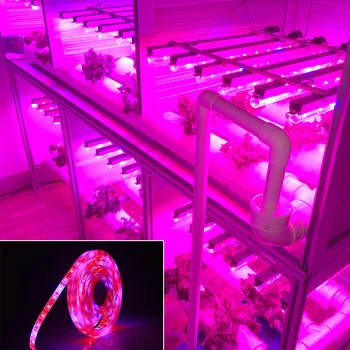 LED vækst Lys DC12V Voksende LED Strip plantevækst Lys Sæt med Adapteren, og Tænd led vækst lys