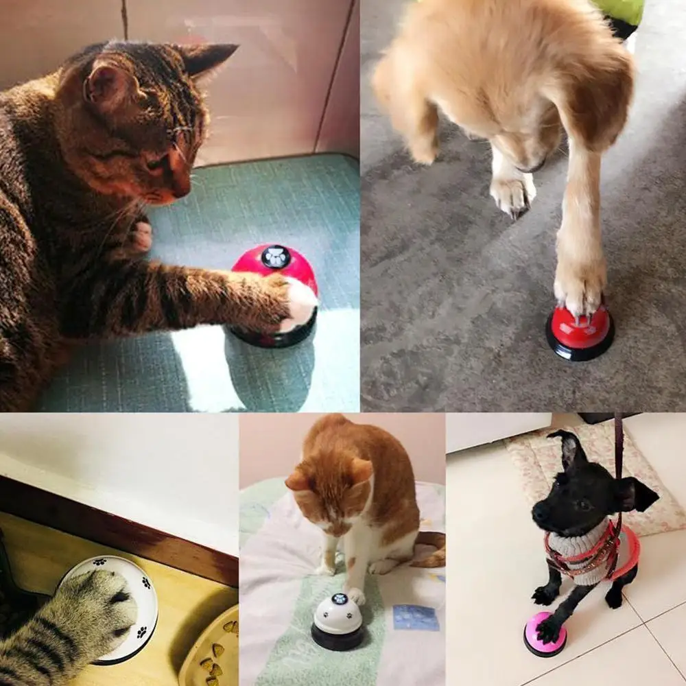 1stk Kreative Pet Bell Forsyninger Klokker Engros Hundetræning Legetøj Kat Kvalitet Udstyr Hunde Træning Hundetræning X4z5 Tilbud | Mall / Basilicohaslev.dk